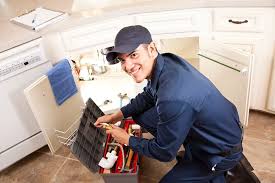 Professional Plumbung Services in Warren Af, WY